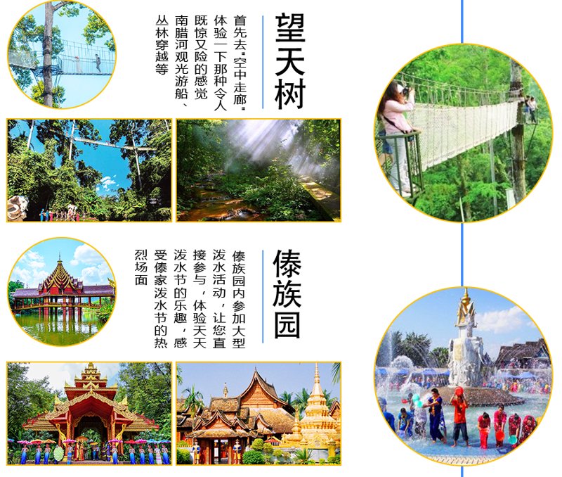 感受西双版纳的自然魅力：旅游包车带你走进热带雨林