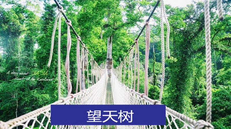 景区直通车选购指南：便捷出行新选择